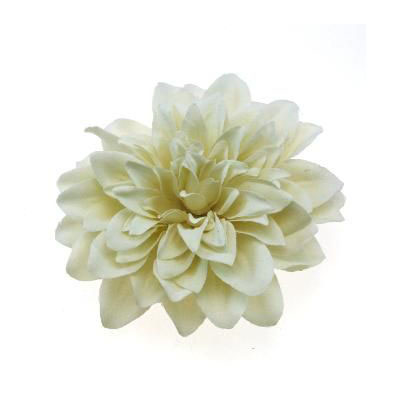 Zac's Alter Ego - Large chrysanthemum Haarbloem - Creme